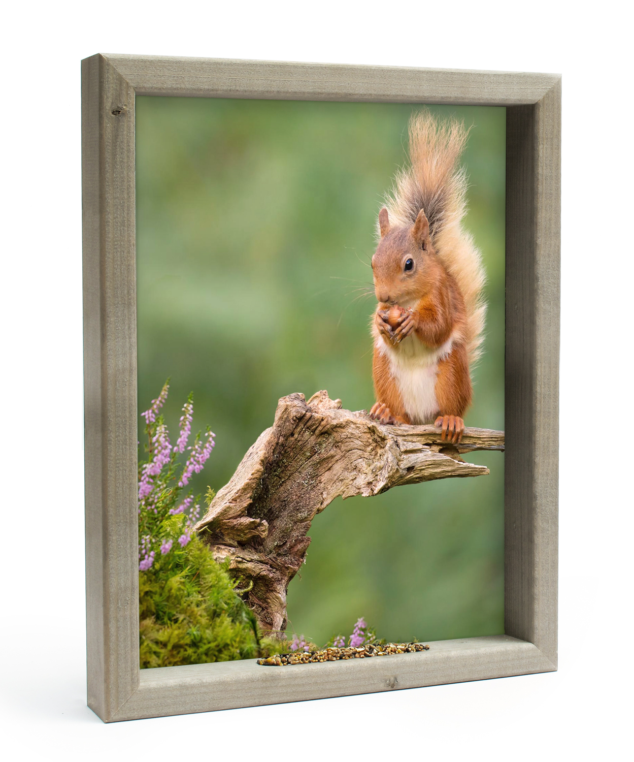Vogelvoederlijstje Tuinschilderij Eekhoorn Groen