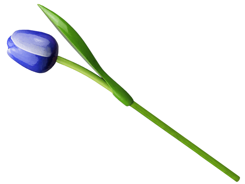 Tulp hout blauw-wit 34 cm
