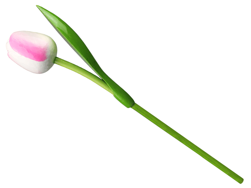 Tulp hout wit-roze 34 cm