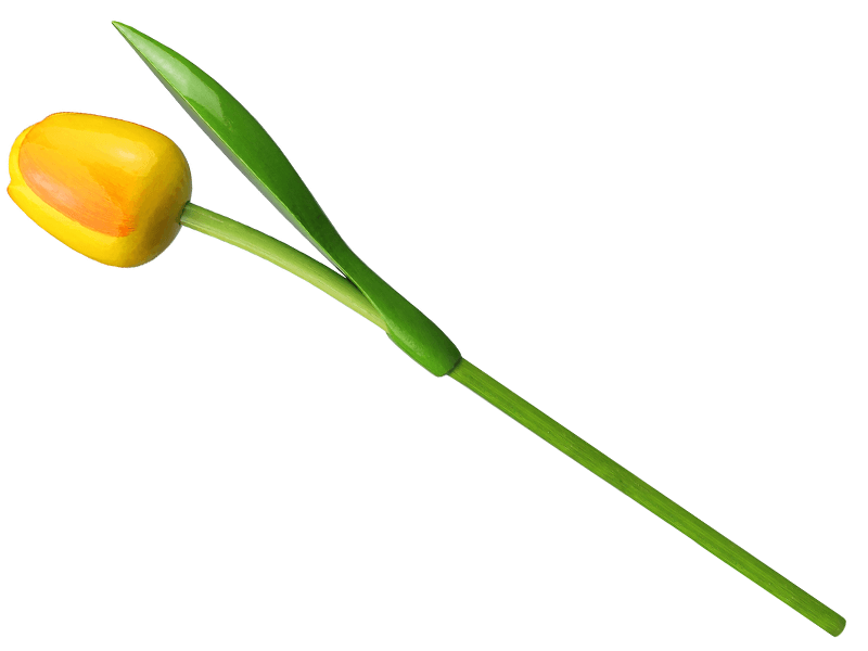 Tulp hout geel-oranje 34 cm