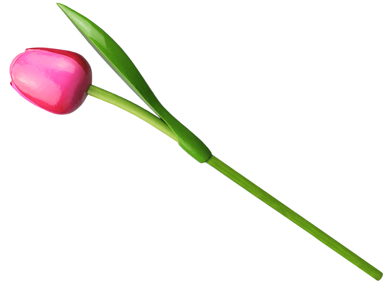 Tulp hout roze-rood 34 cm