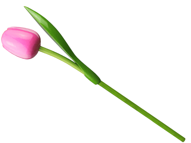 Tulp hout roze-wit 34 cm