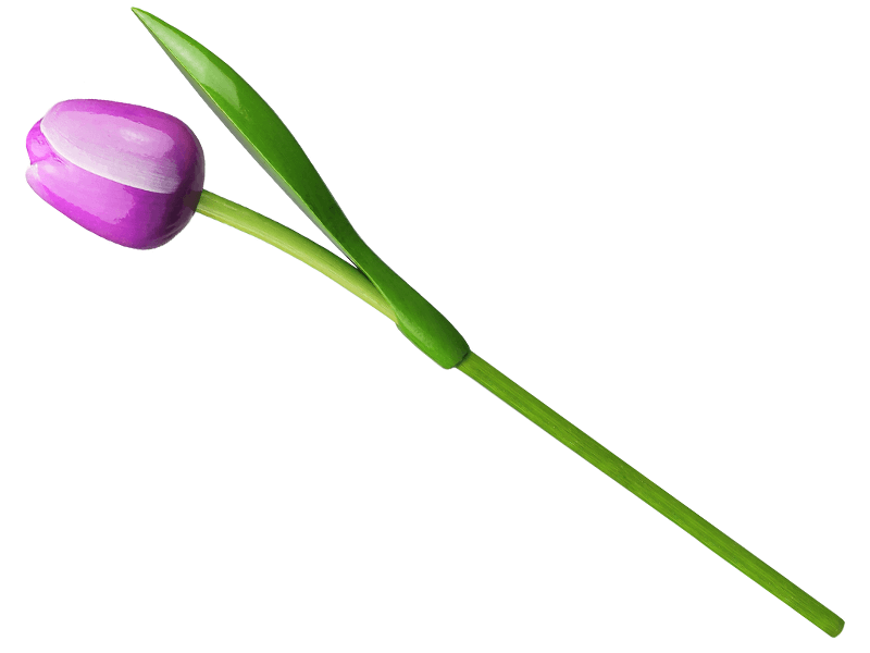 Tulp hout paars-wit 34 cm