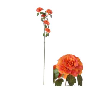 Ranonkel 70cm