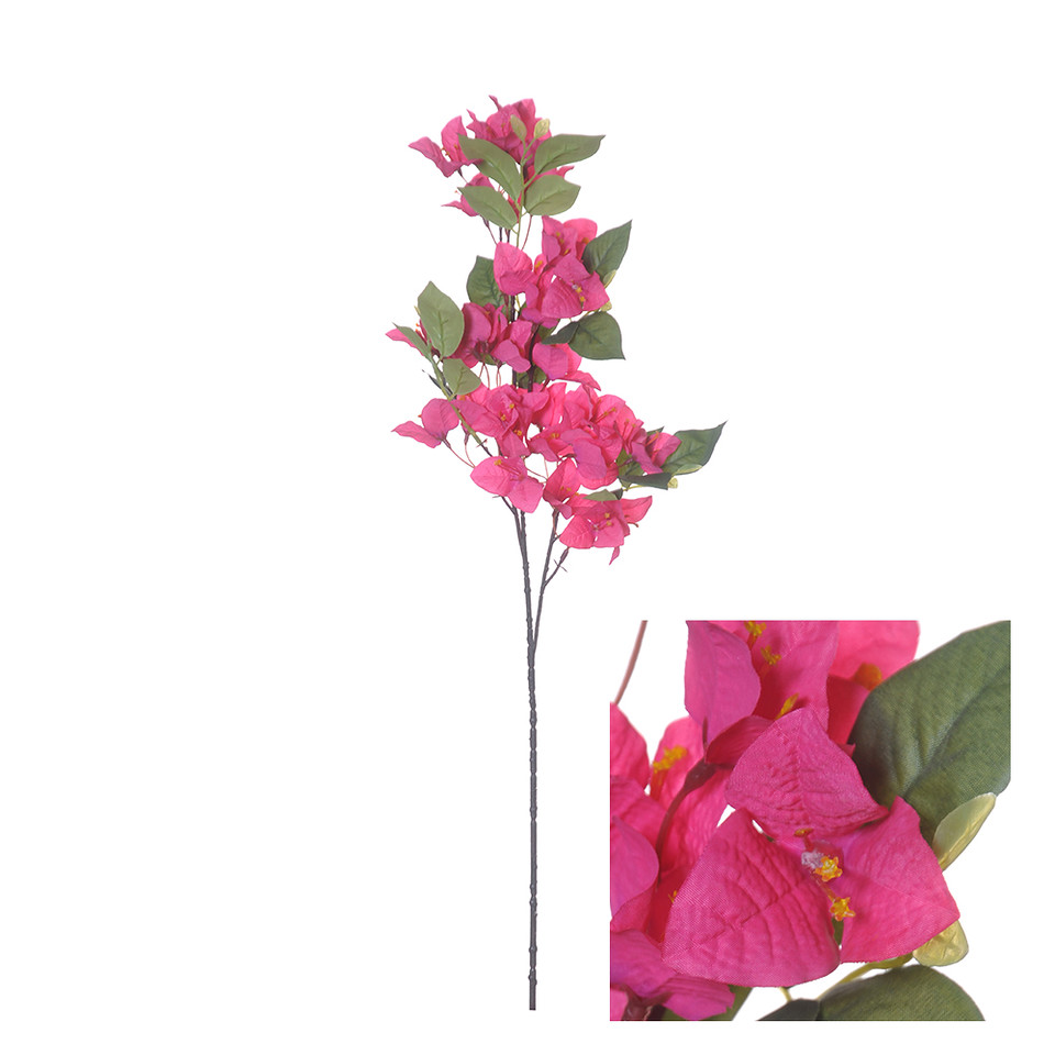 Bougainvillea 76cm