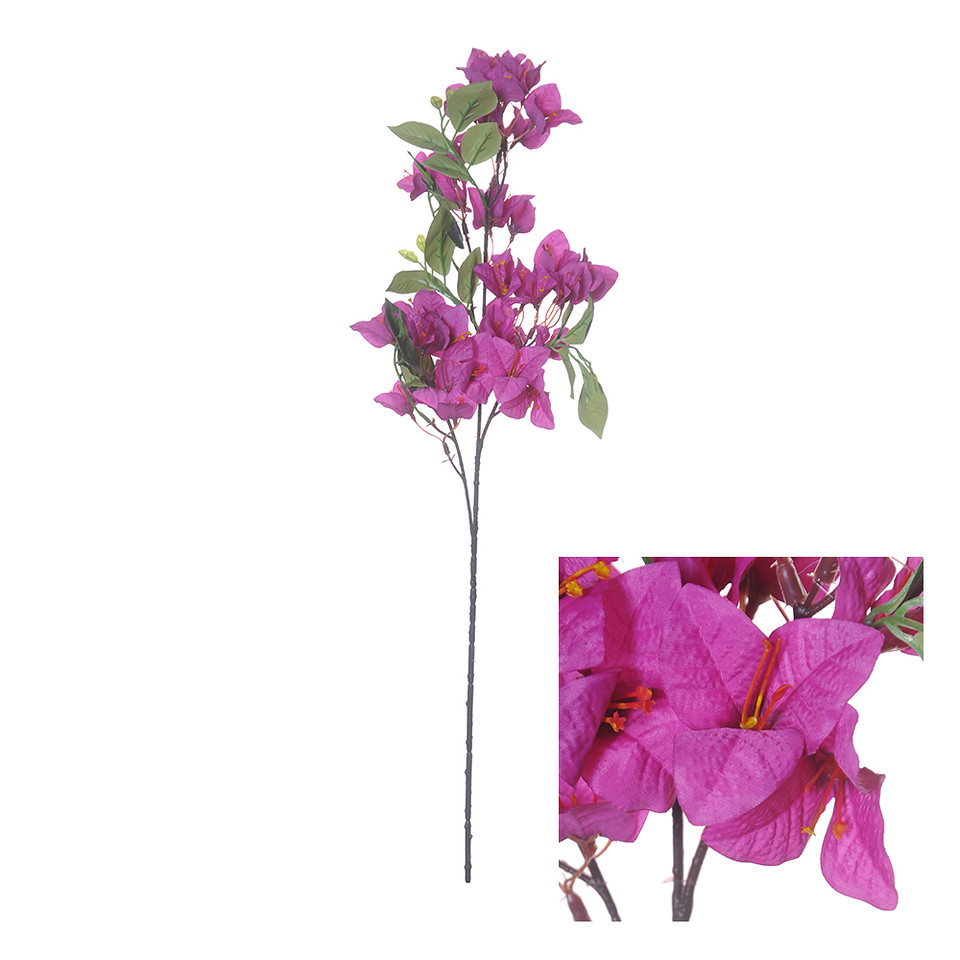 Bougainvillea 76cm