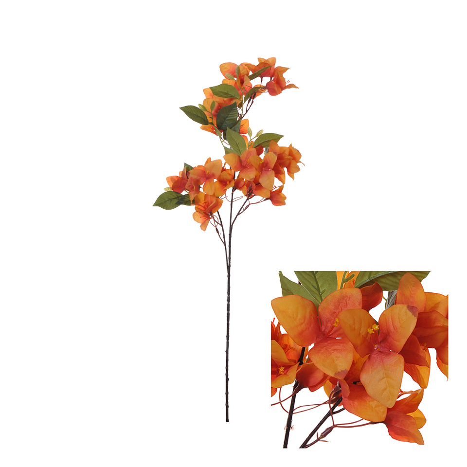 Bougainvillea 76cm
