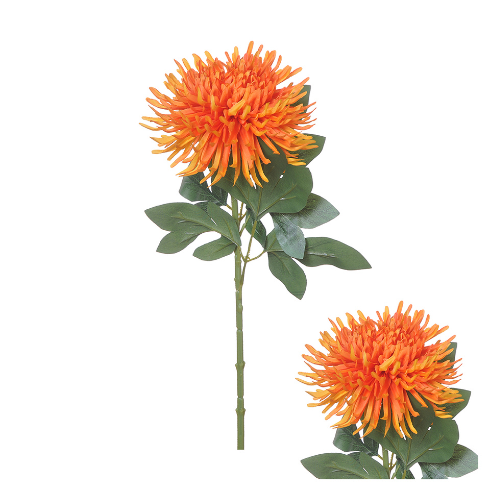 Chrysant 67cm