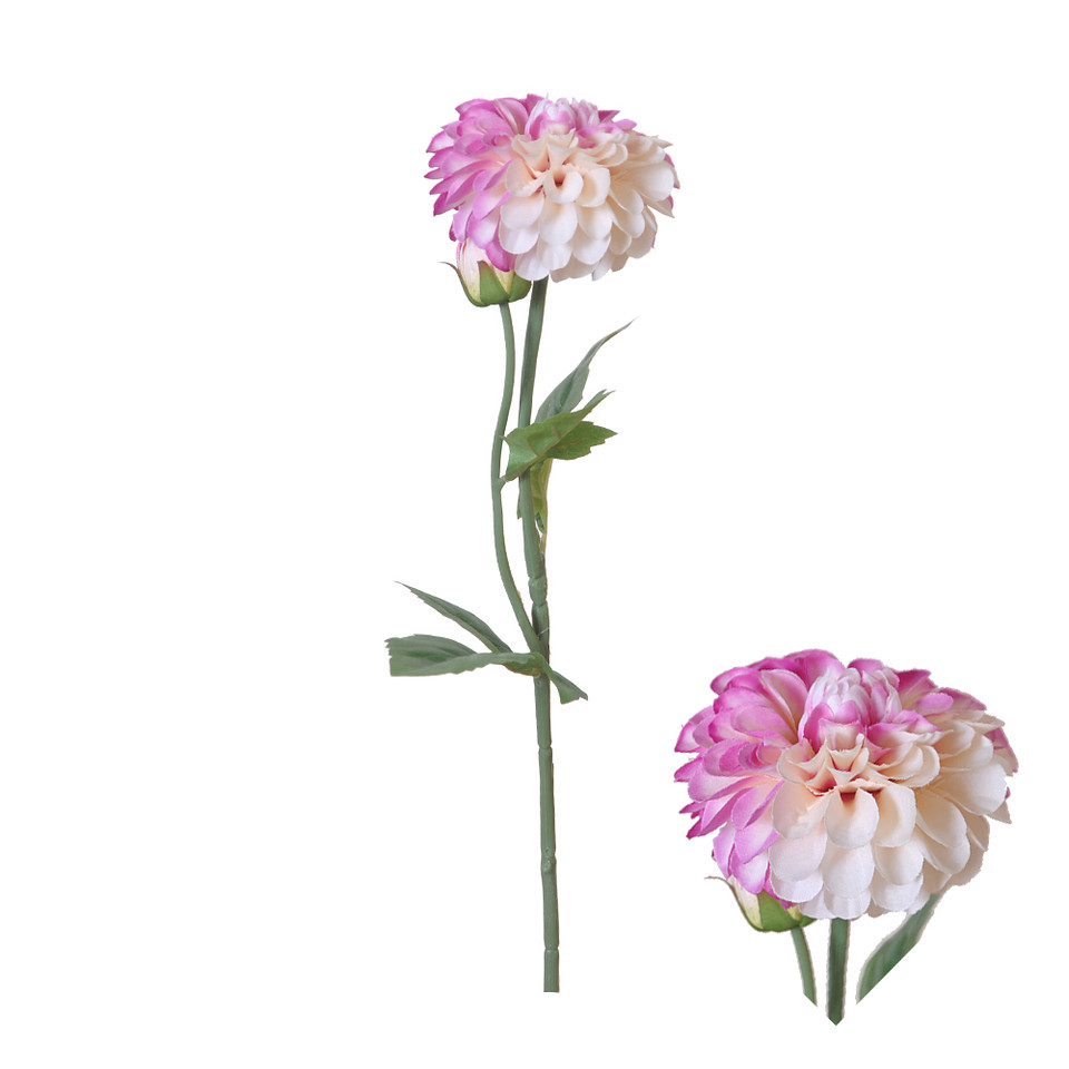 Dahlia 59cm