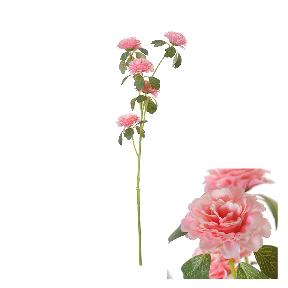 Camelia 70cm