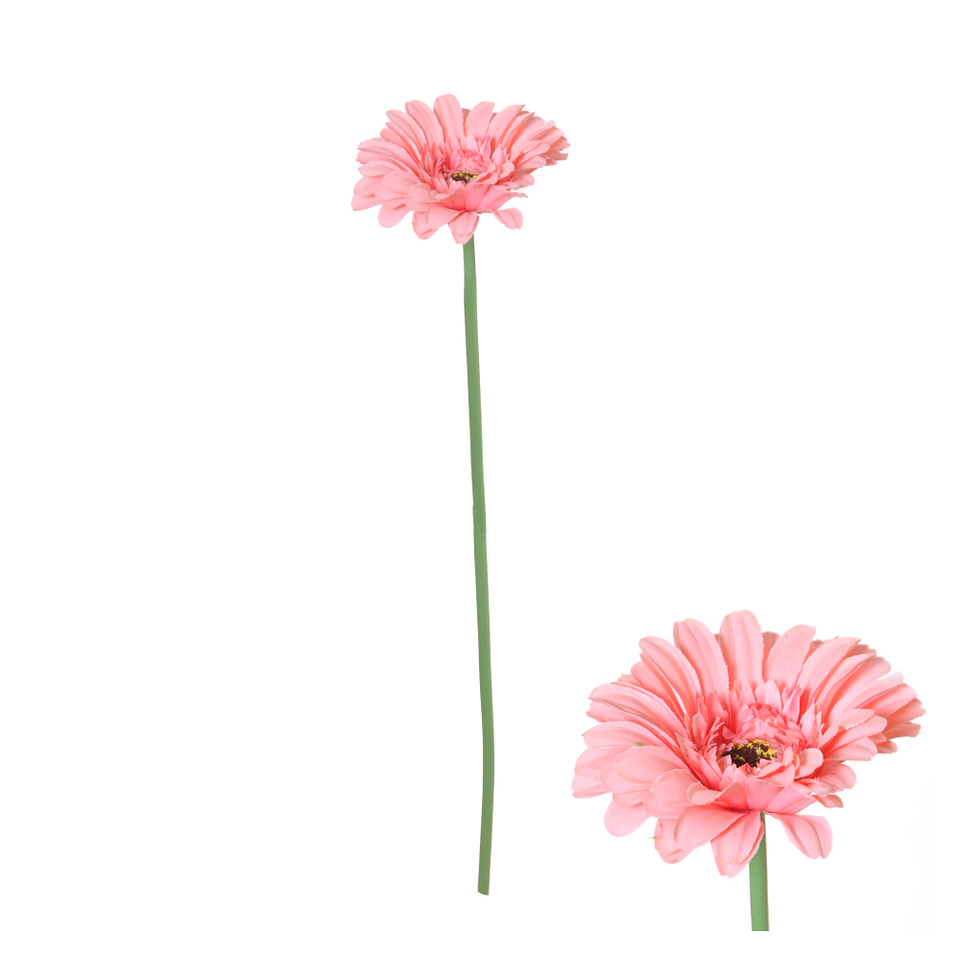Anjer 57cm