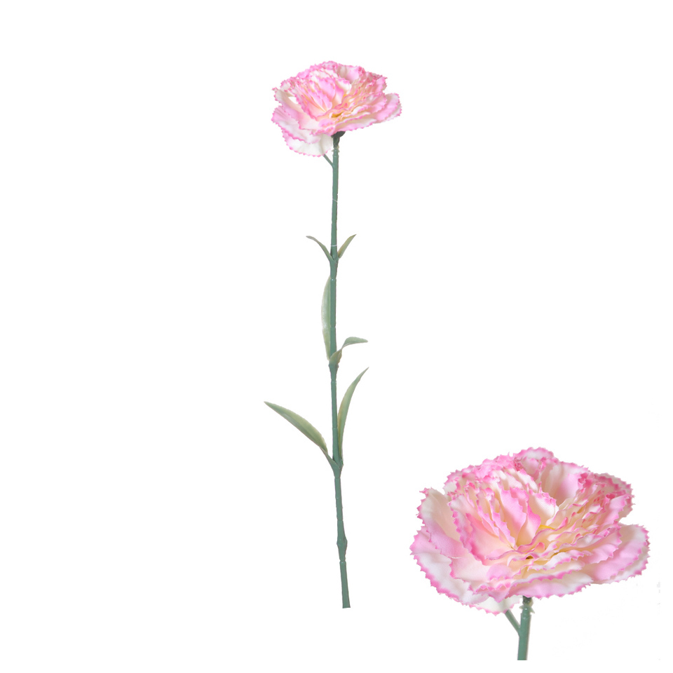 Anjer 57cm