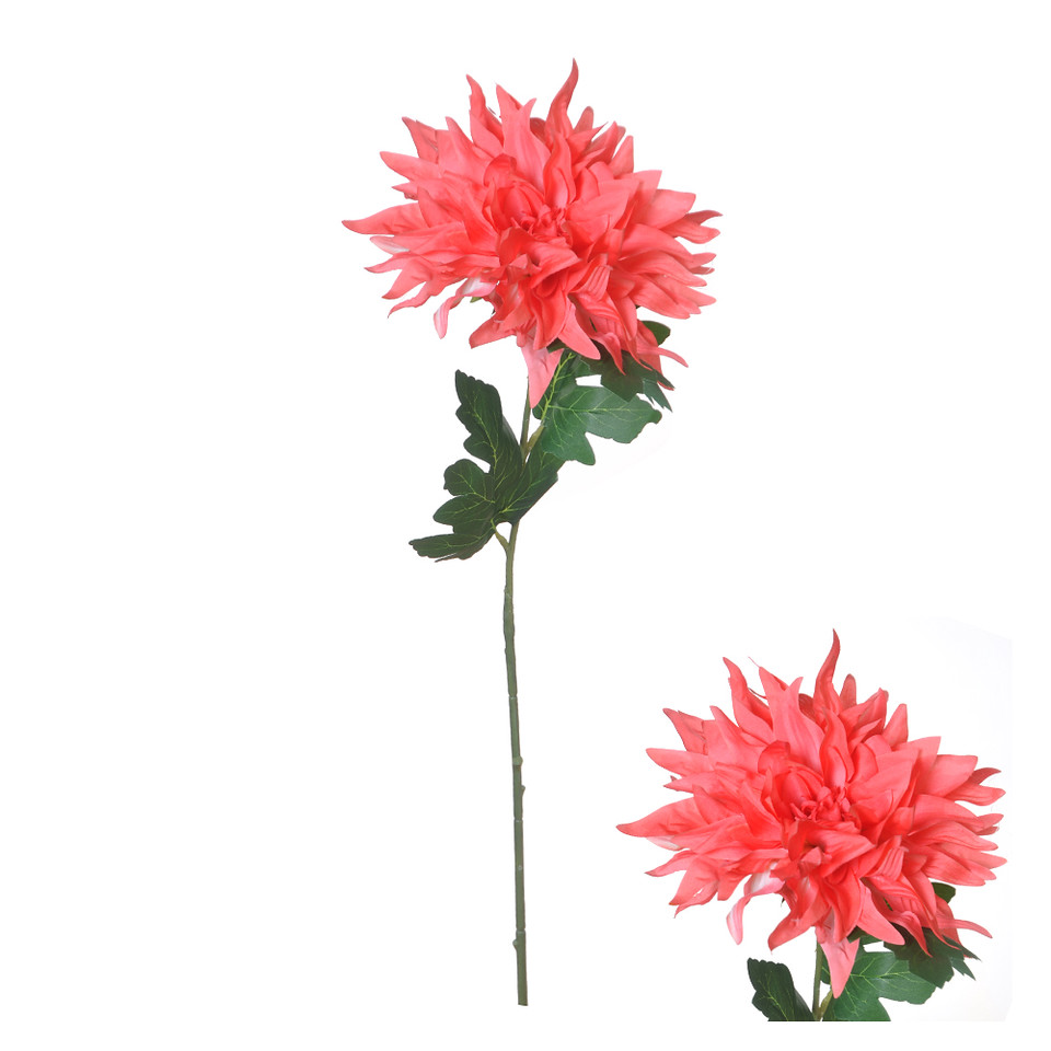 Dahlia 75cm