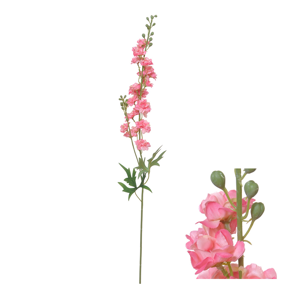 Delphinium 80cm
