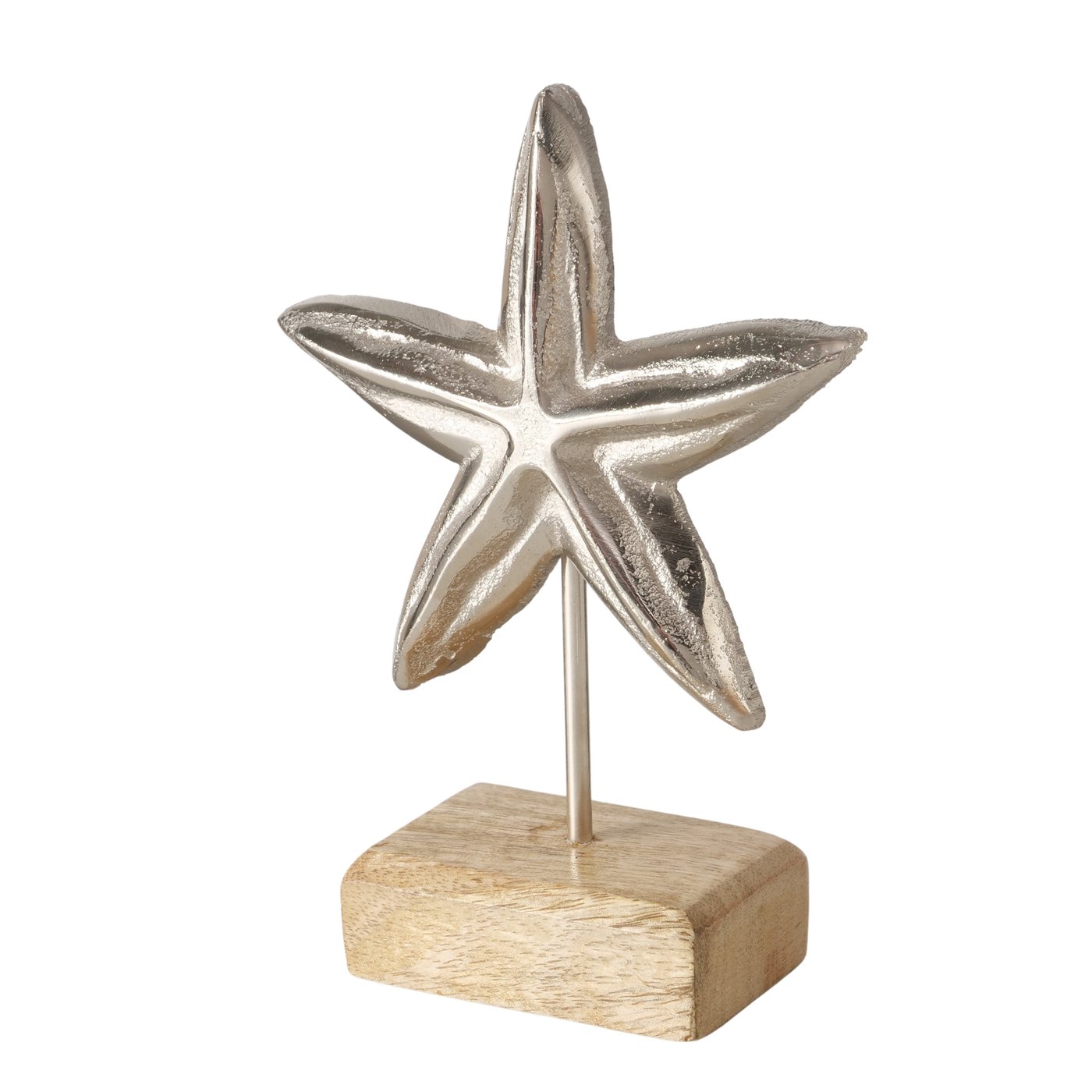 Decoratief object Zeester , H17cm mangohout