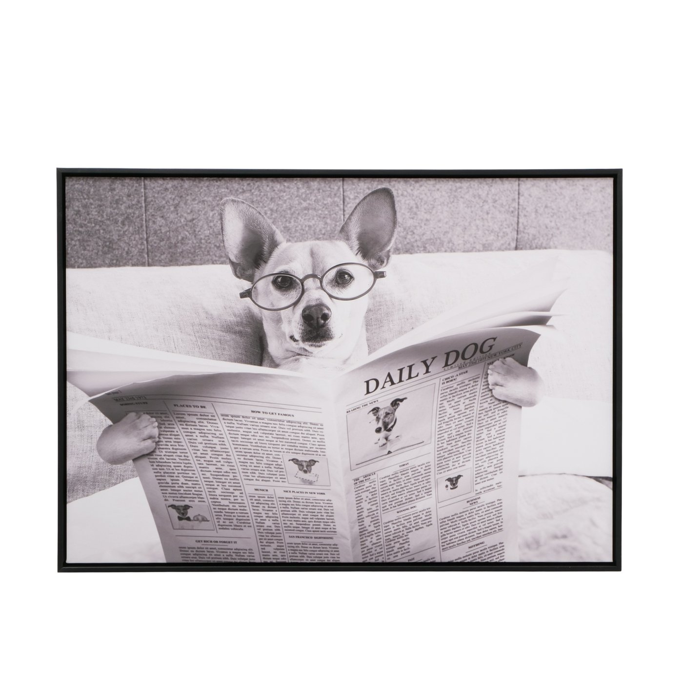 Fotolijst Daily, Hond