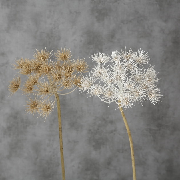 Droogbloem Allium kstf h76cm mlt a2 - Afbeelding 3