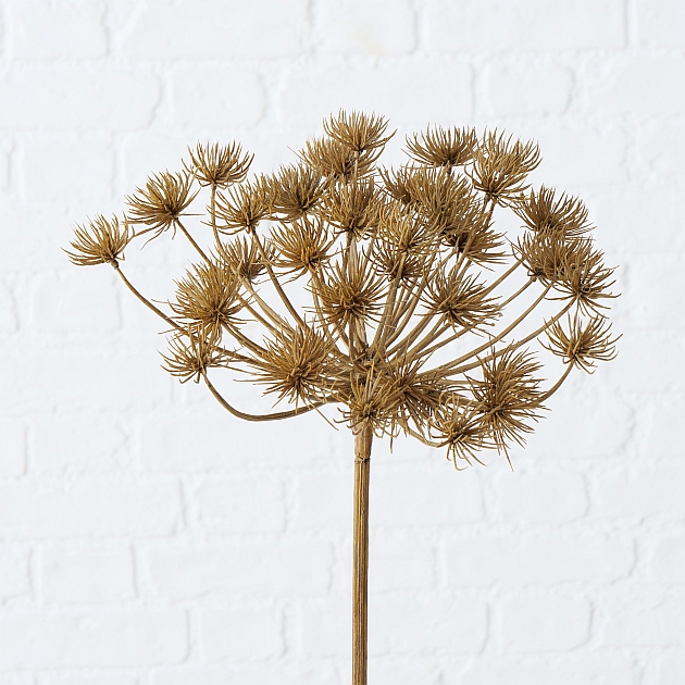 Decorative branch , Hogweed, - Afbeelding 2