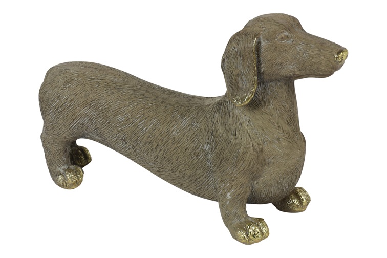 Hond Thimo bruin