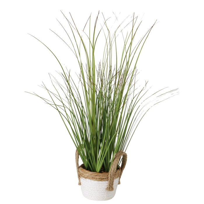 Plant in mand gras H49cm