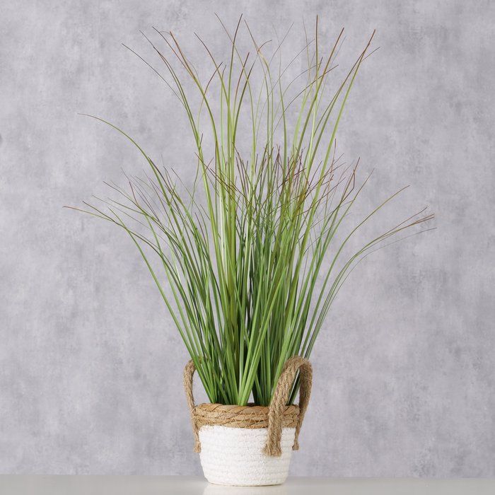 Plant in mand gras H49cm - Afbeelding 2