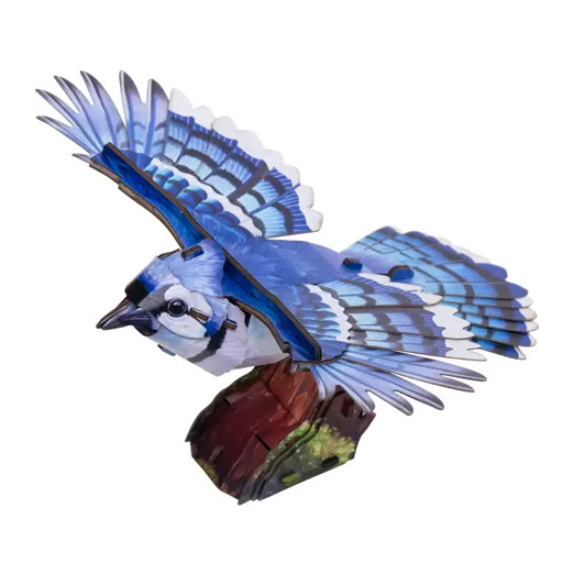 Blue Jay