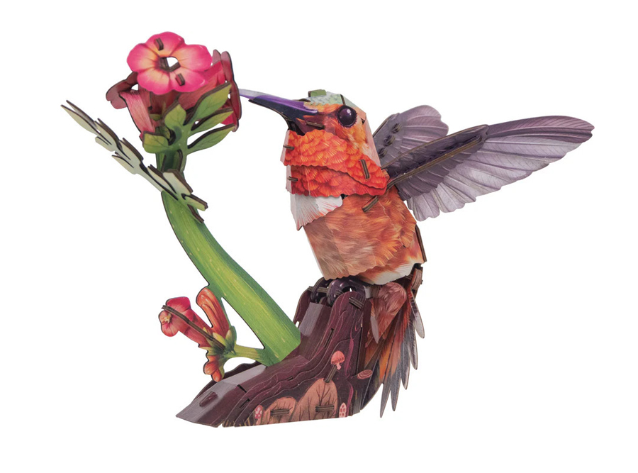 Hummingbird