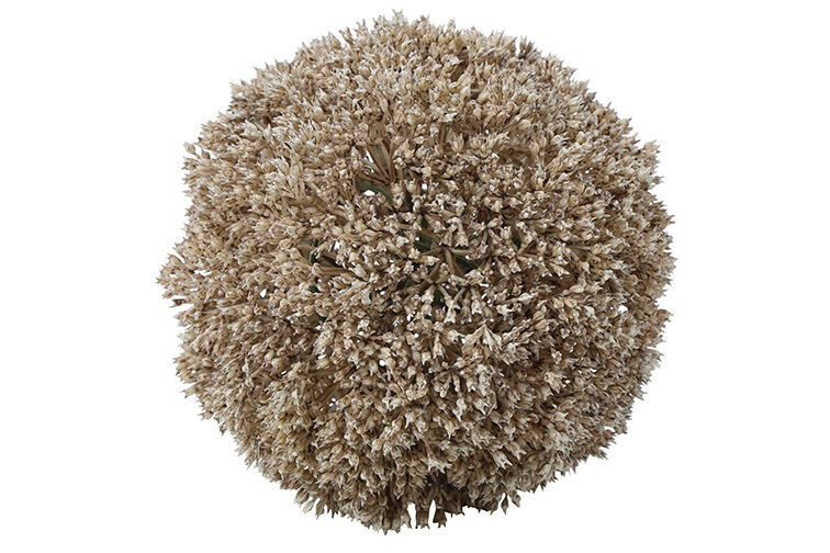 Deco bol Eupatorium L crème-15x15x15CM
