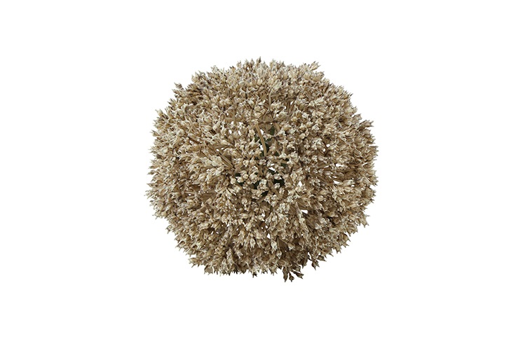Deco bol Eupatorium S crème-11x11x11CM