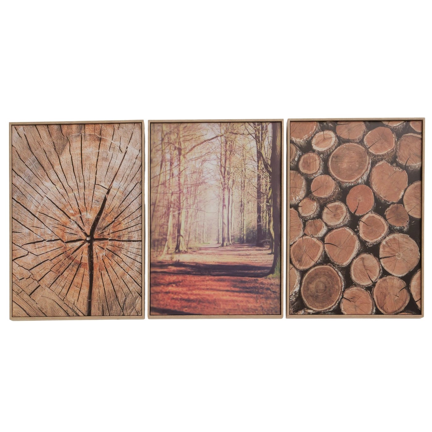 Wanddecoratie Holzi, 3 soorten print, boom, effen, B70cm
